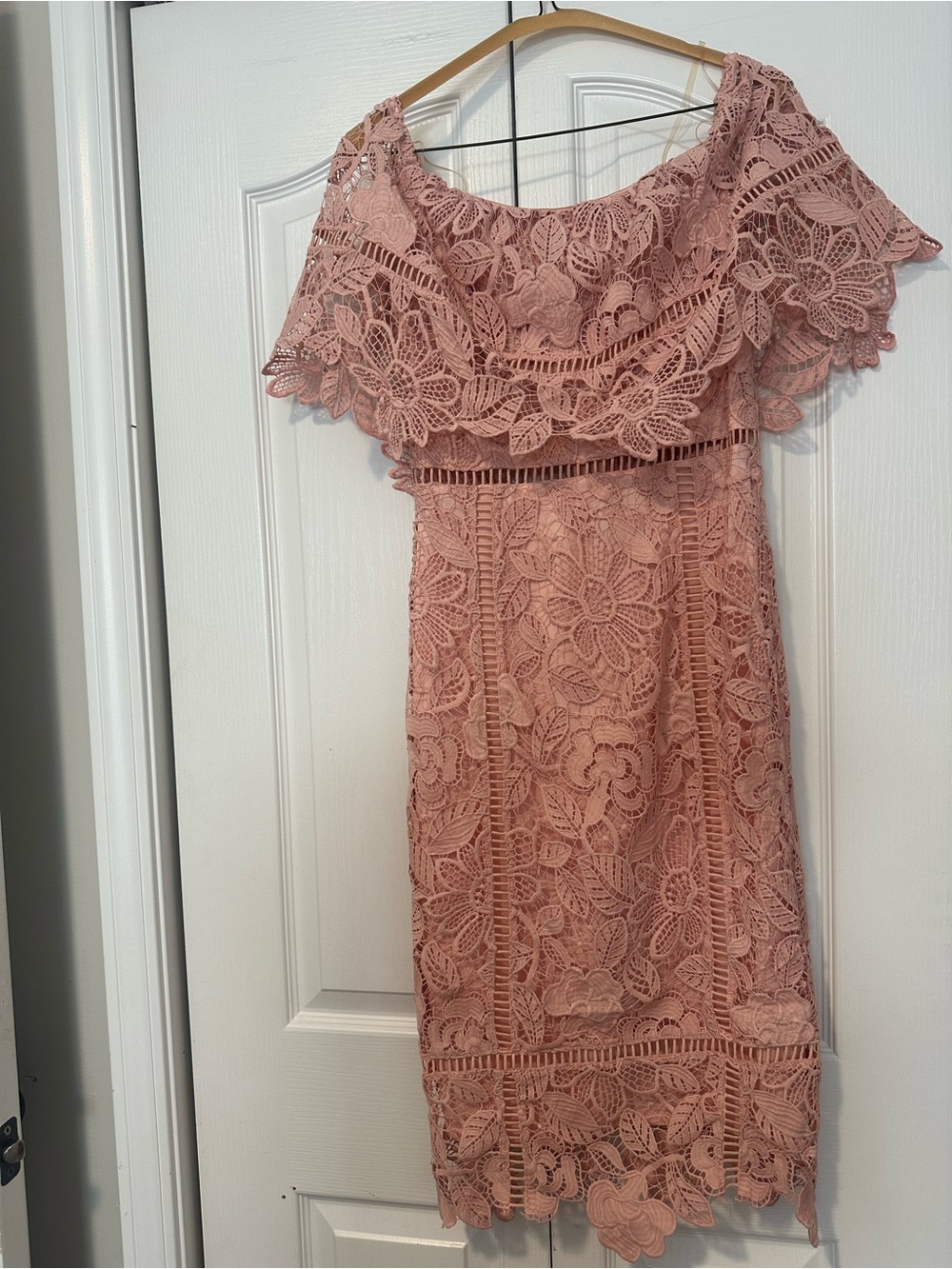Gianni Bini Blush Pink One-Shoulder Lace Dress